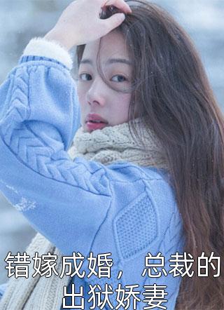 全文护妻神婿